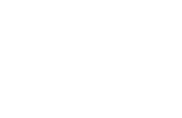 誠実に/客観性/自然体/身近に/結果の探究